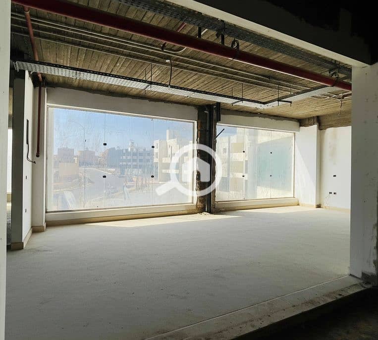 8 Generated Image September 16, 2025 - 2_08PM. png