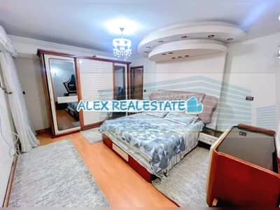 فلیٹ 3 غرف نوم للايجار في سموحة، الإسكندرية - IMG-20260110-WA0066. jpg