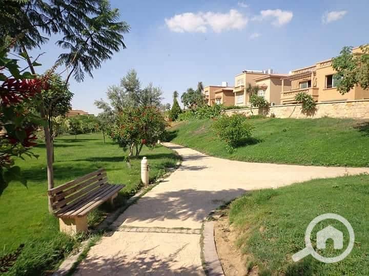 2 17360667_393494607683164_932499628_n. jpg