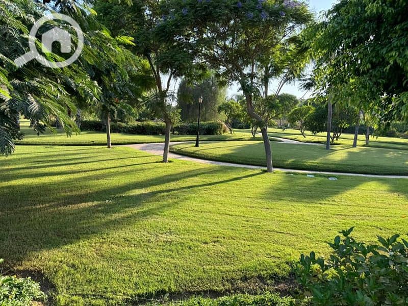 2 b551d321-11e1-4524-b868-8872f20ccbce. jfif. jpg