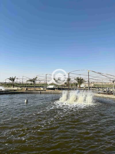 زراعي  للبيع في مدينة الفيوم، الفيوم - 1000555191. jpg