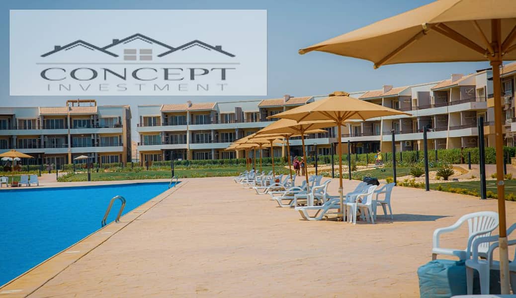 11 Screen Shot 2024-12-04 at 10.27. 16 PM. png