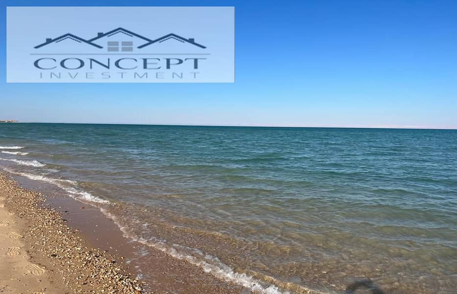 3 a6c68fcd-257f-49c0-9279-a703badcba82. jpeg