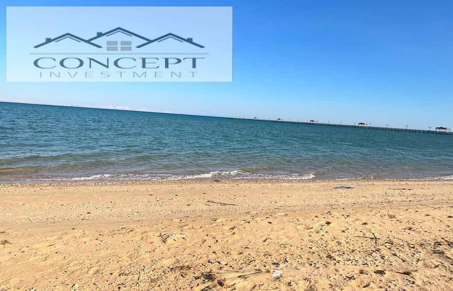 13 cebd19fb-72cd-4d41-acb0-1e1b2ae133ff. jpeg