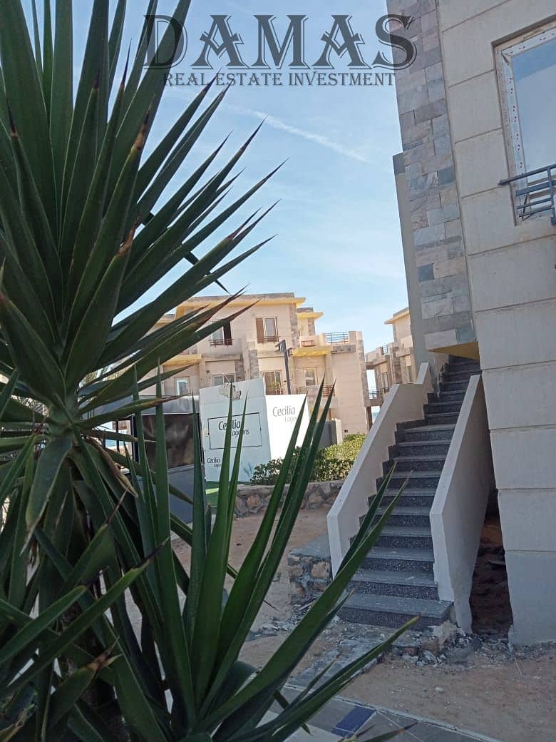 6 WhatsApp Image 2026-01-10 at 14.32. 08. jpeg