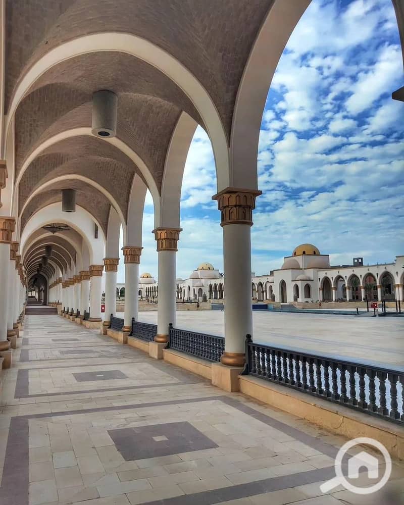 5 419001289_764901115662631_7939120151717539572_n. jpg