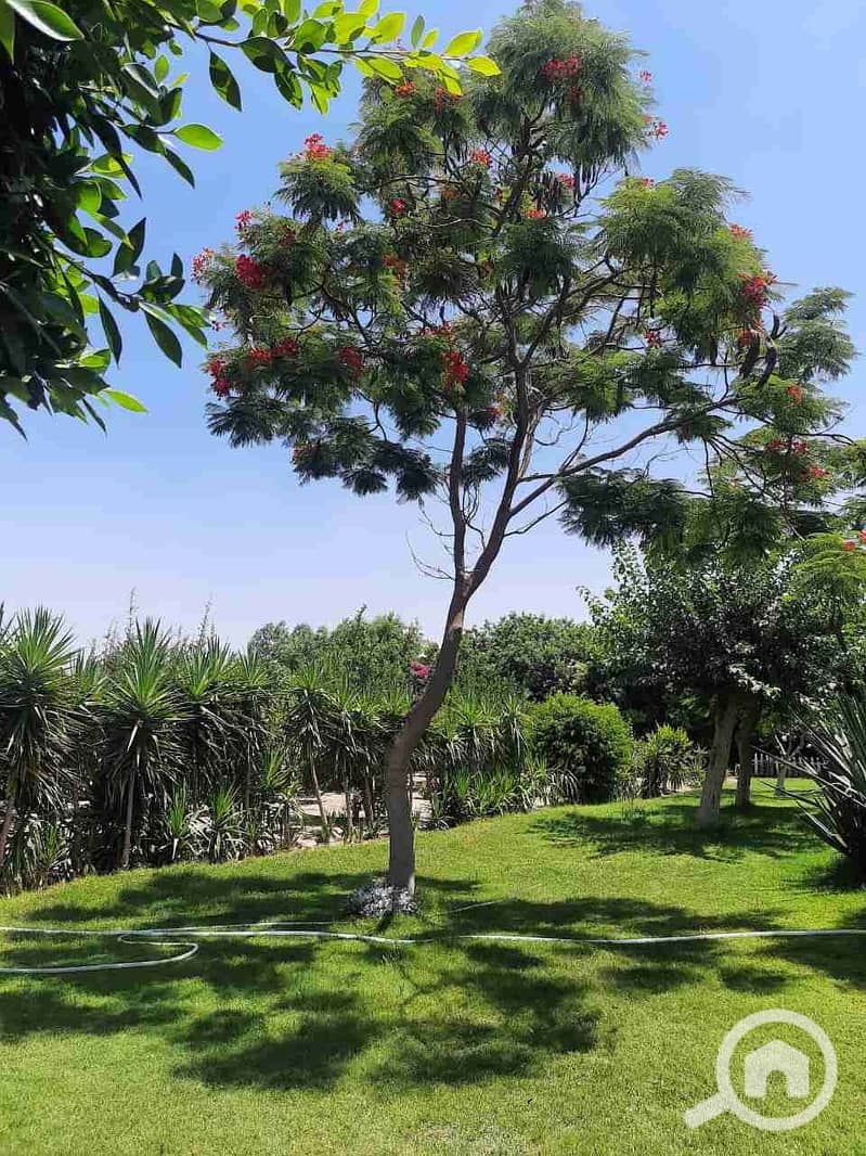 2 IMG-20241030-WA0035. jpg