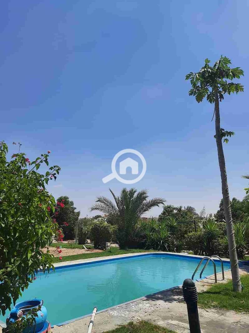 3 IMG-20241030-WA0032. jpg