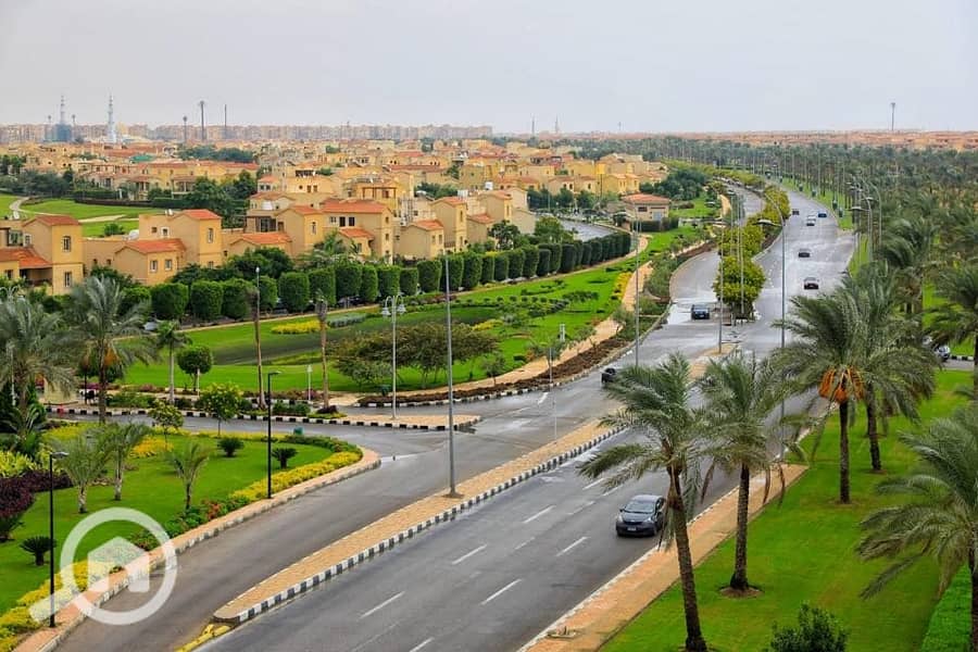 10 73198070_2579711662051752_1685579191128424448_n. jpg