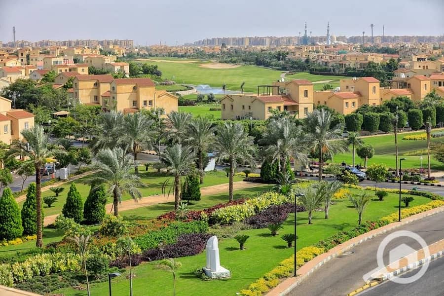 11 73324064_2579711545385097_941428853866233856_n. jpg