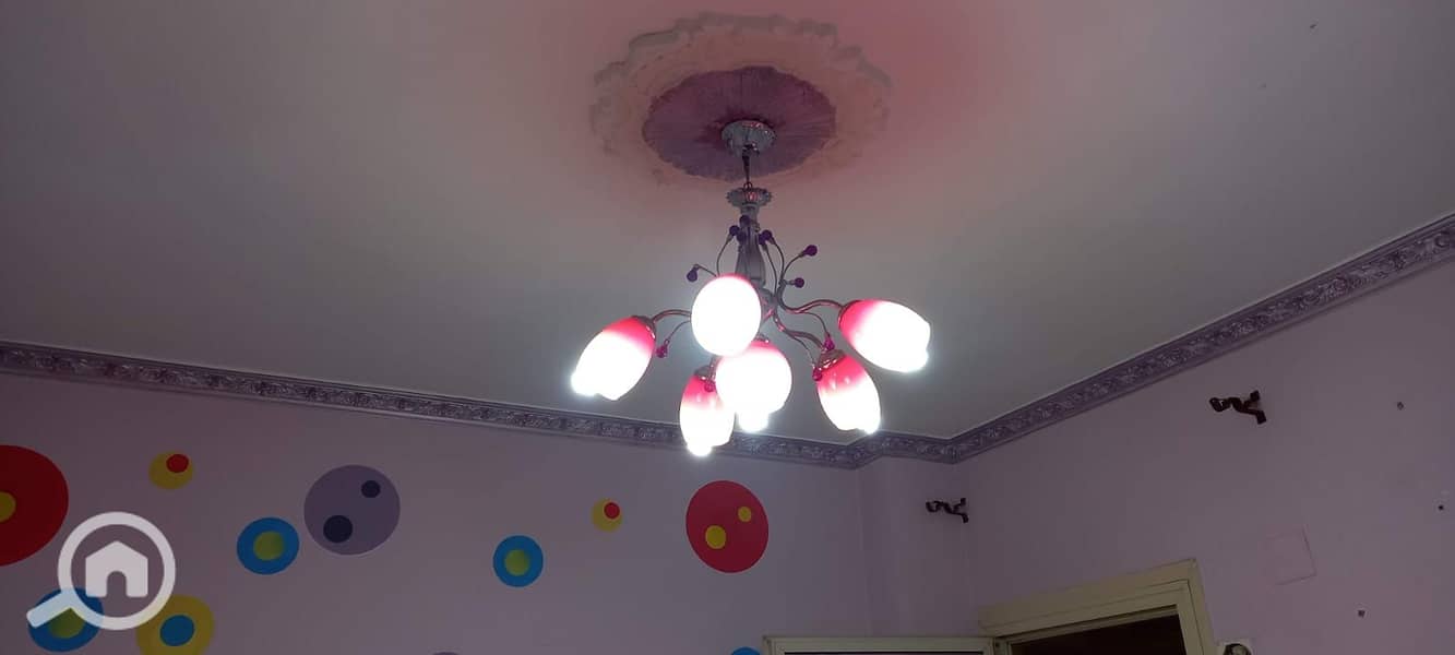 6 WhatsApp Image 2026-01-10 at 4.36. 17 PM (1). jpeg