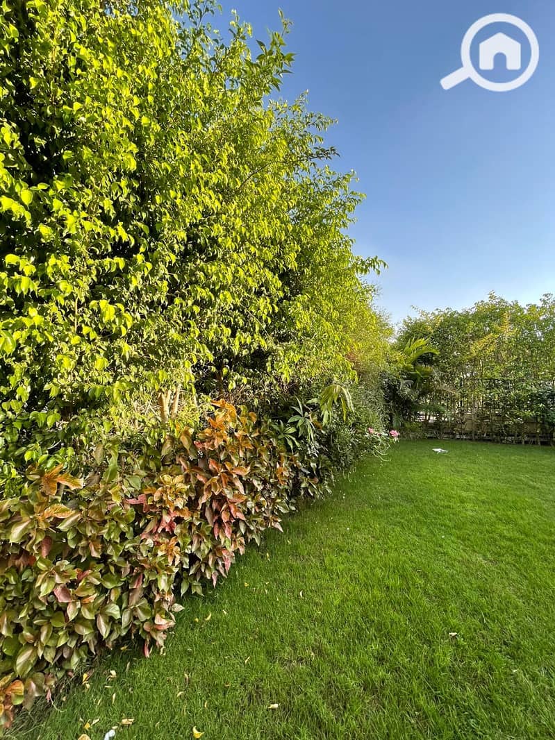 27 fc46954d-c244-45f3-9e98-b0785b624d1a. jpg