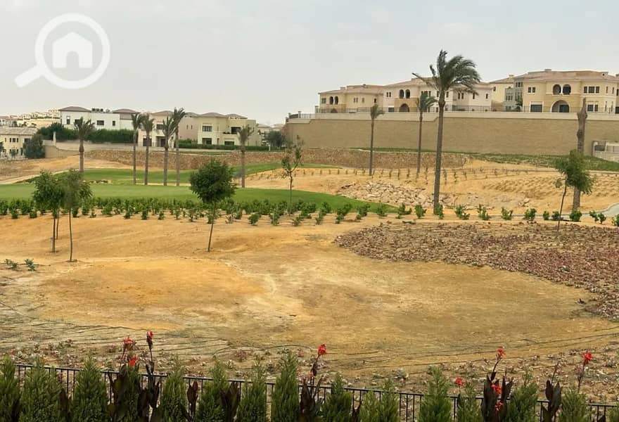 11 8317947-cdc58o. jpg