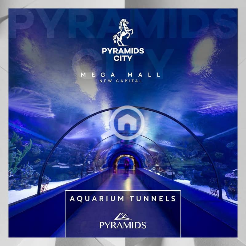 15 WhatsApp Image 2025-12-22 at 1.39. 57 PM 2. jpeg