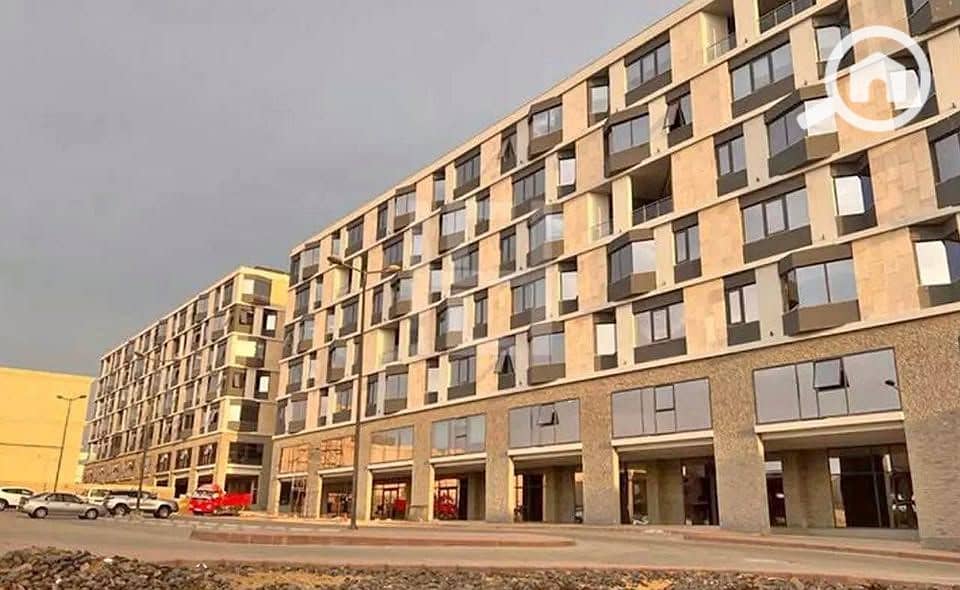 3 514786691_2152628485165344_8739531304144761039_n. jpg