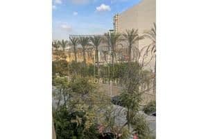 6 WhatsApp Image 2026-01-10 at 5.28. 00 PM. jpg