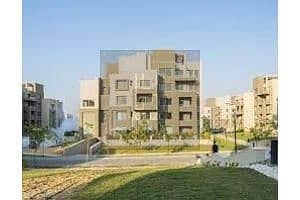 9 images (38). jfif. jpg