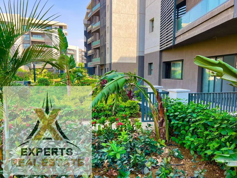 11 a6666e4a-d62c-4115-8ab7-1ed5d0cbbedb. jpg