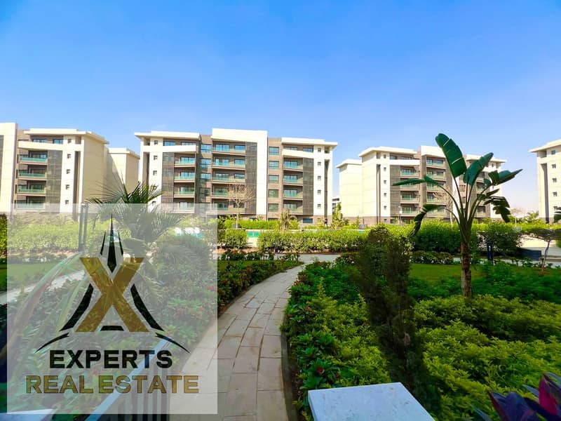 12 ba073785-33b0-4e76-b054-0bd24471c6cf. jpg