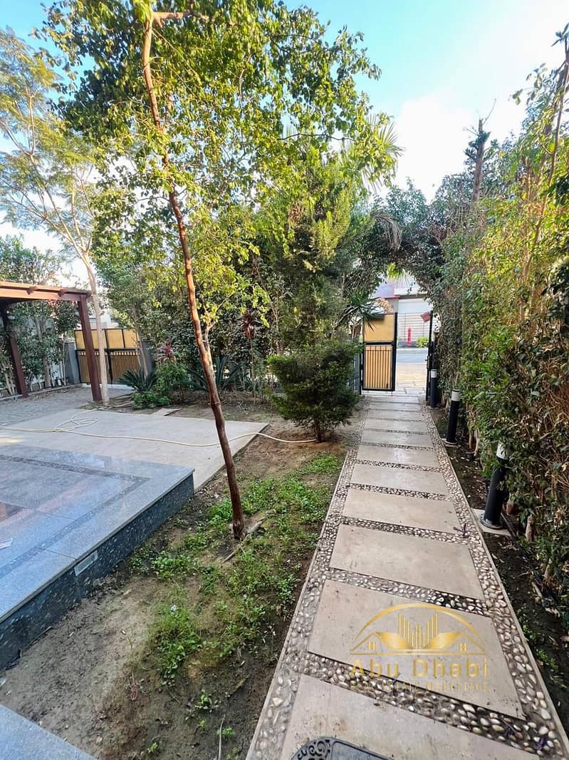 5 e232c588-da17-4b5c-972d-917b4a93fe6a. jpg