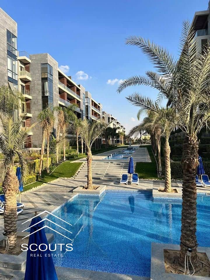 18 471281516_1231274667970072_4324311492805822274_n. jpg