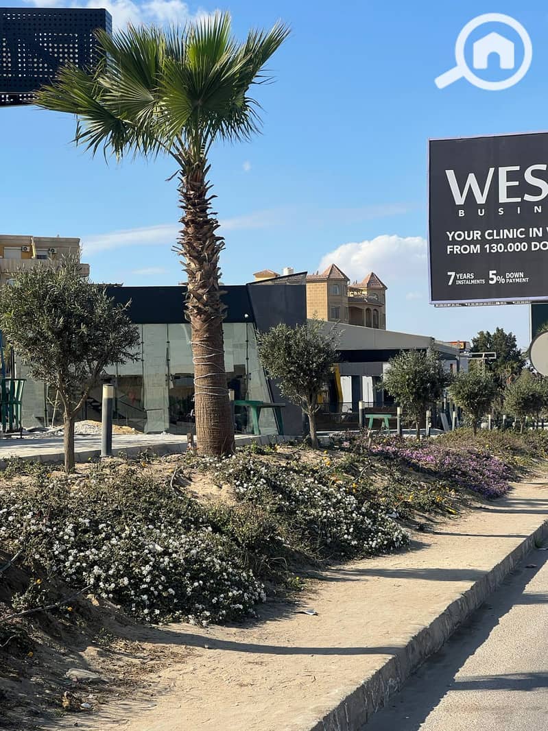 4 WhatsApp Image 2025-01-29 at 4.03. 57 PM (1). jpeg