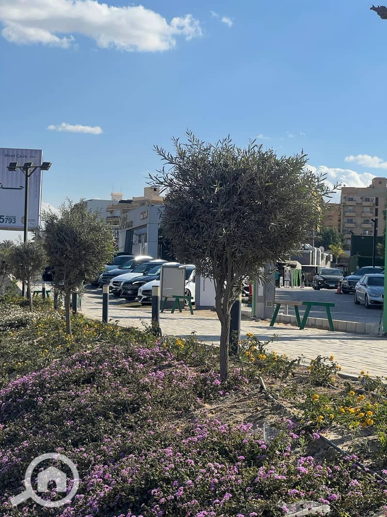 5 WhatsApp Image 2025-01-29 at 4.03. 57 PM (2). jpeg