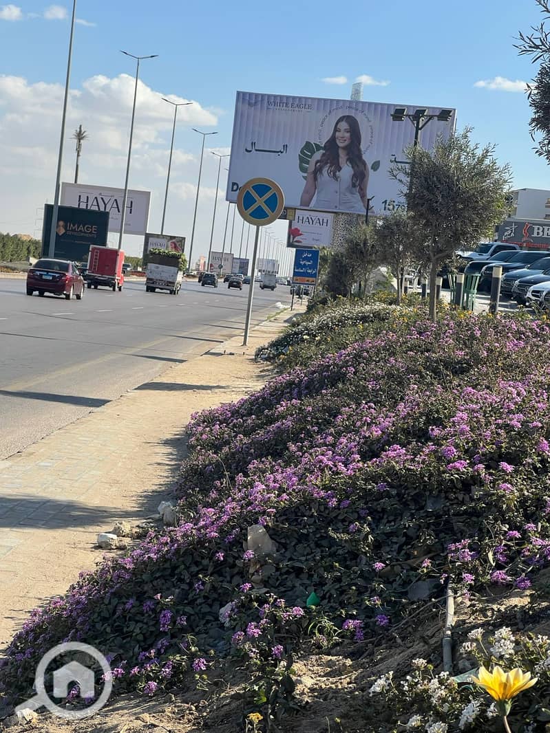 8 WhatsApp Image 2025-01-29 at 4.03. 58 PM. jpeg