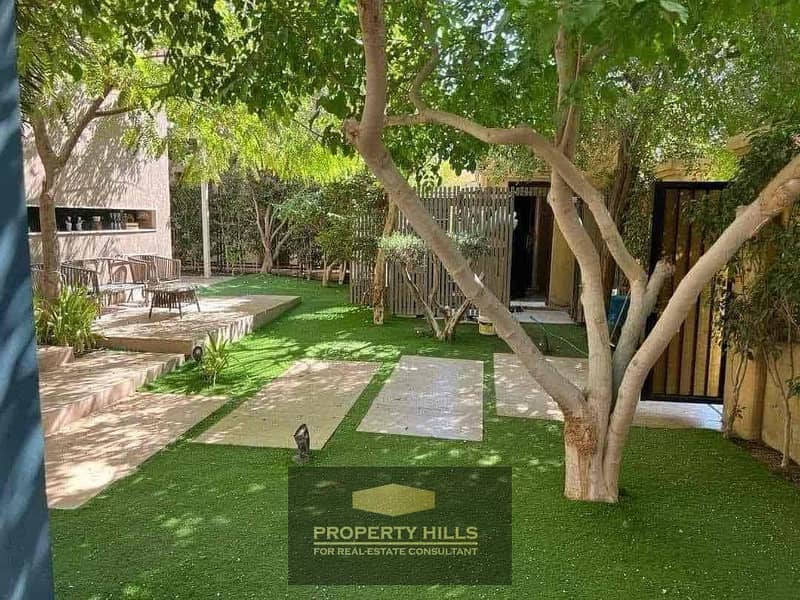 13 f99e72a5-43e3-4590-8434-dffbeb6f7f59. jpg