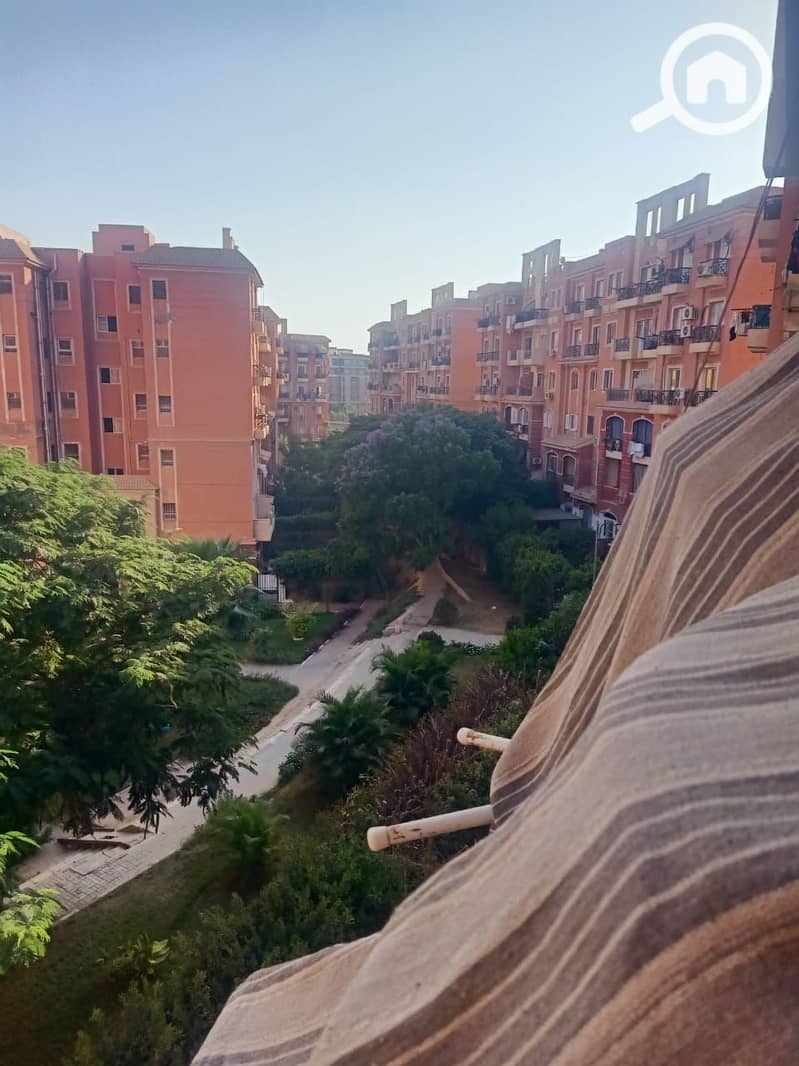 4 WhatsApp Image 2026-01-11 at 1.13. 46 PM. jpeg