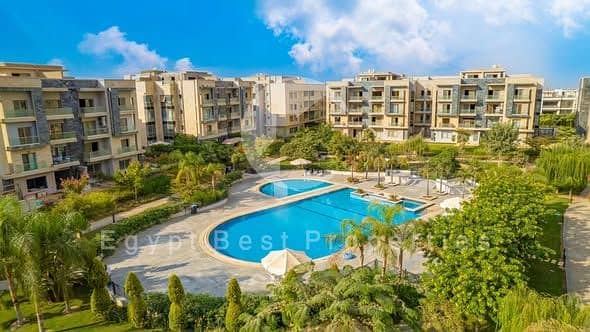 10 600449975_3237757736392070_8269934989208411968_n. jpg