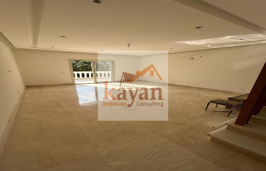 5 f2293819-b86e-4812-b1ed-3a25e18798fa. jpg