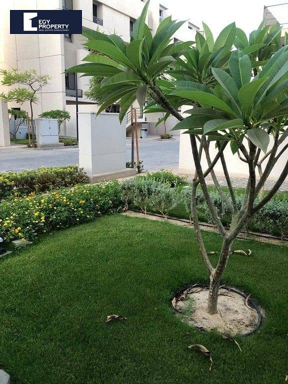 10 _files_WhatsApp Image 2025-07-29 at 02.13. 28_0dbf2e8c. jpg