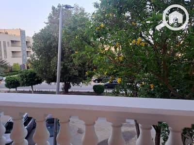 3 Bedroom Apartment for Rent in New Cairo, Cairo - WhatsApp Image 2026-01-11 at 1.28. 41 PM (1). jpeg
