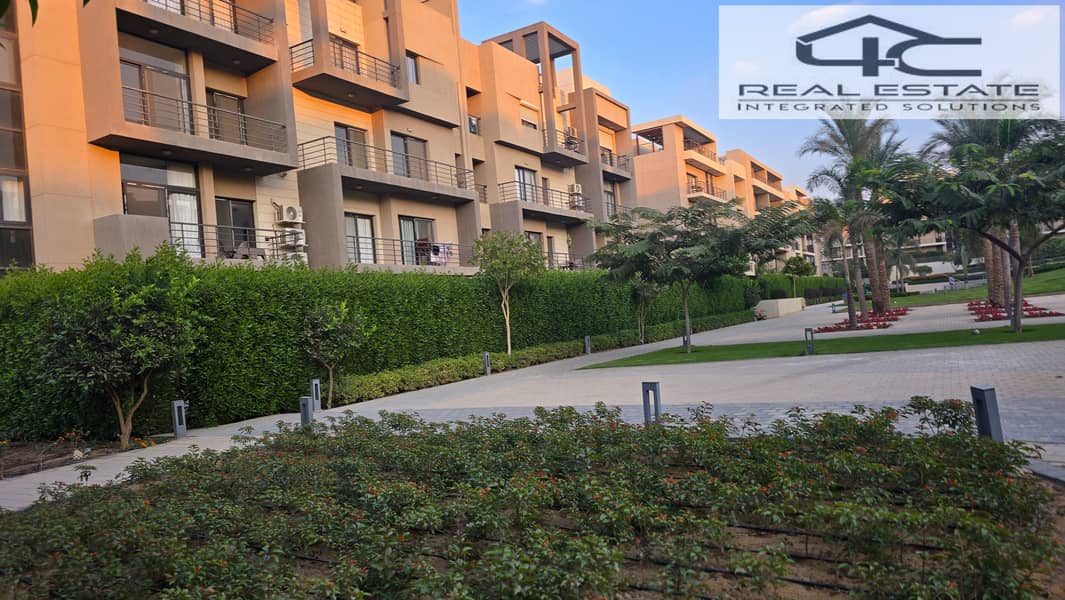 9 20251117_162459. jpg