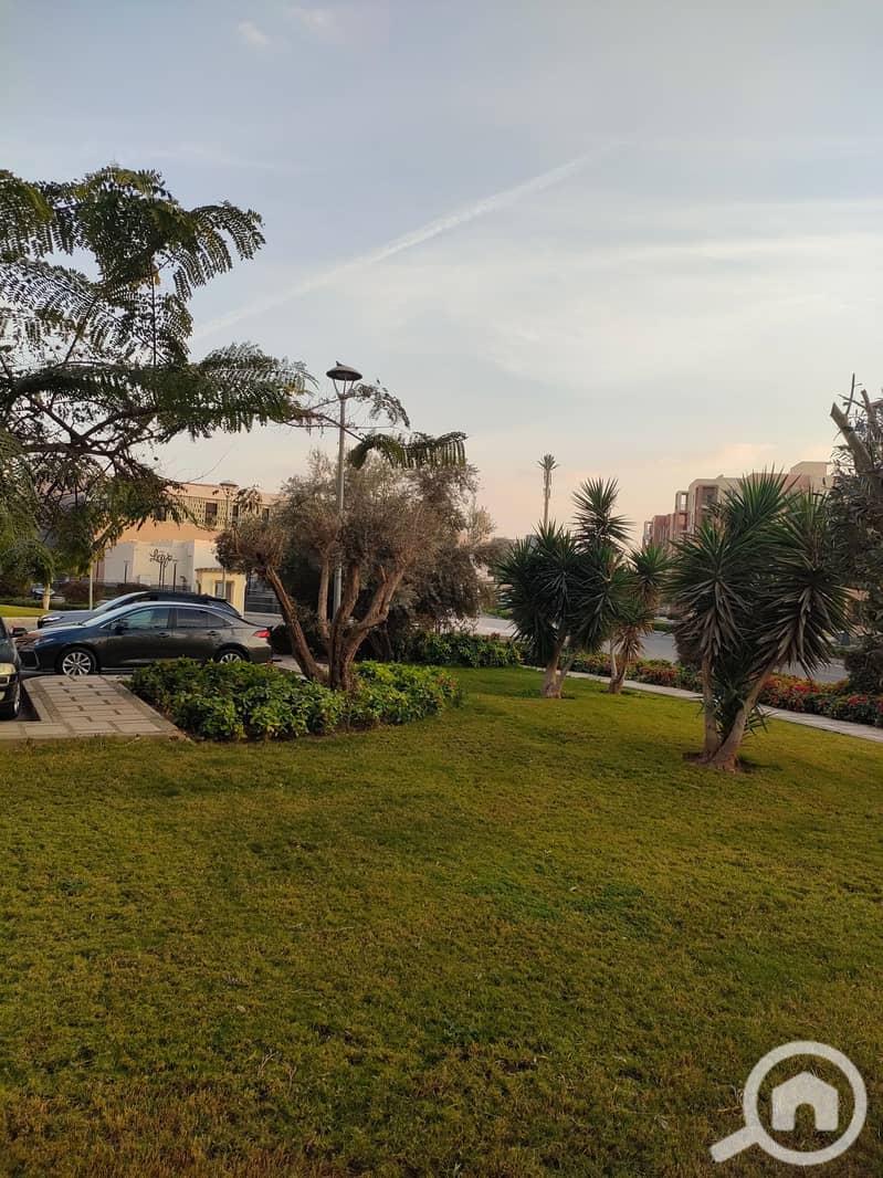 12 IMG20260110164137. jpg