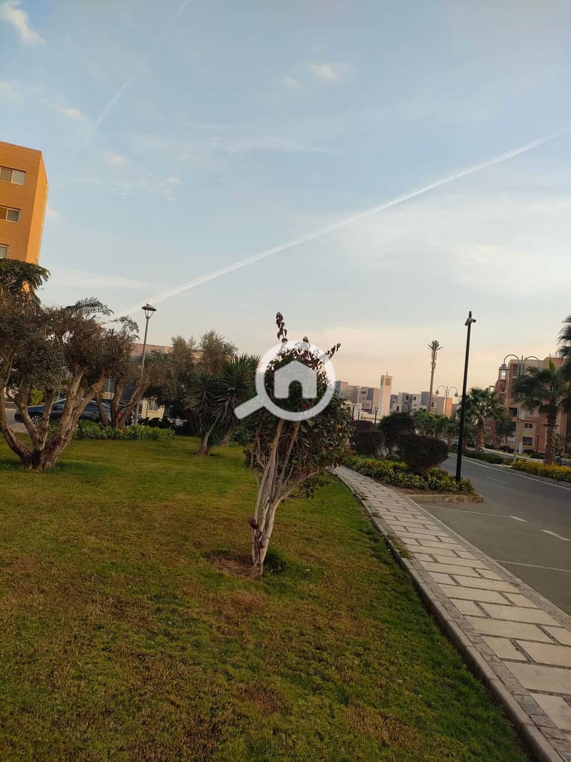 13 IMG20260110164105. jpg