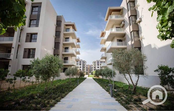 5 555909156_24565781656411317_8245876807951773334_n. jpg