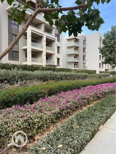 8 557051540_2381731795558432_4557013055637418327_n. jpg