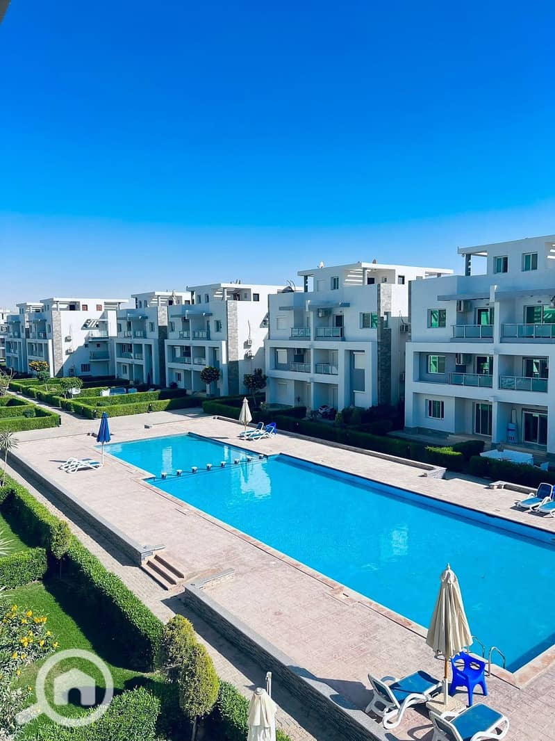 13 ed754f71-3590-4fa6-988e-95a4a3894e37. jpg