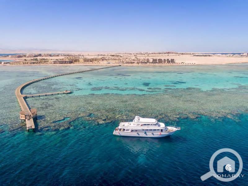 13 Soma Photos_page-0005. jpg