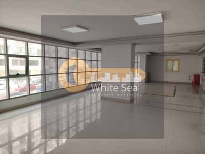 Office for Rent in Glim, Alexandria - 1000941944. jpg