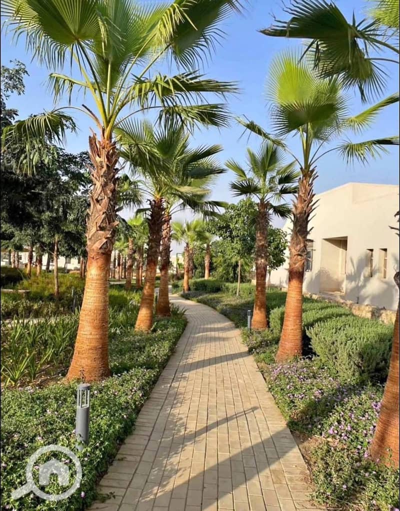 9 520534358_122240519366226581_3016558698081157844_n. jpg