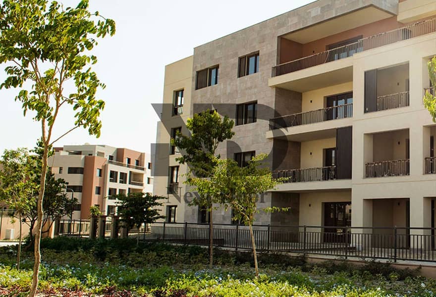 6 9ea04992-2674-4033-a8cb-251f30b33066. jpg