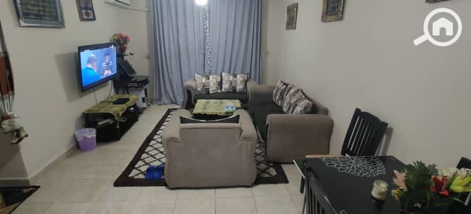 شقة 3 غرف نوم للايجار في مدينتي، القاهرة - WhatsApp Image 2026-01-11 at 2.17. 06 PM. jpeg