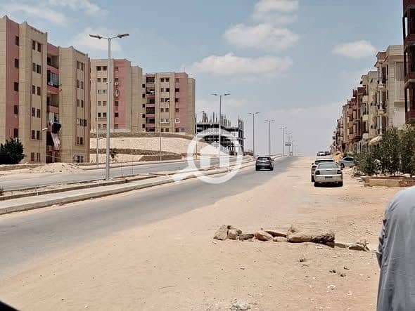 3 WhatsApp Image 2025-12-17 at 10.35. 14 AM. jpeg