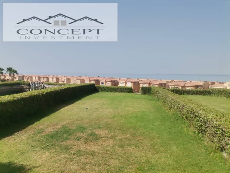 5 eb209e29-eaeb-4641-960e-c8fbec23bb4b. jpeg