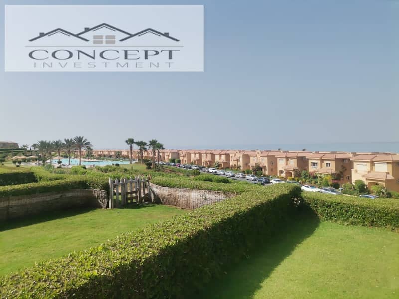 14 b2fb7e4b-4c7d-43bc-9186-fa69e2f3e3a5. jpeg