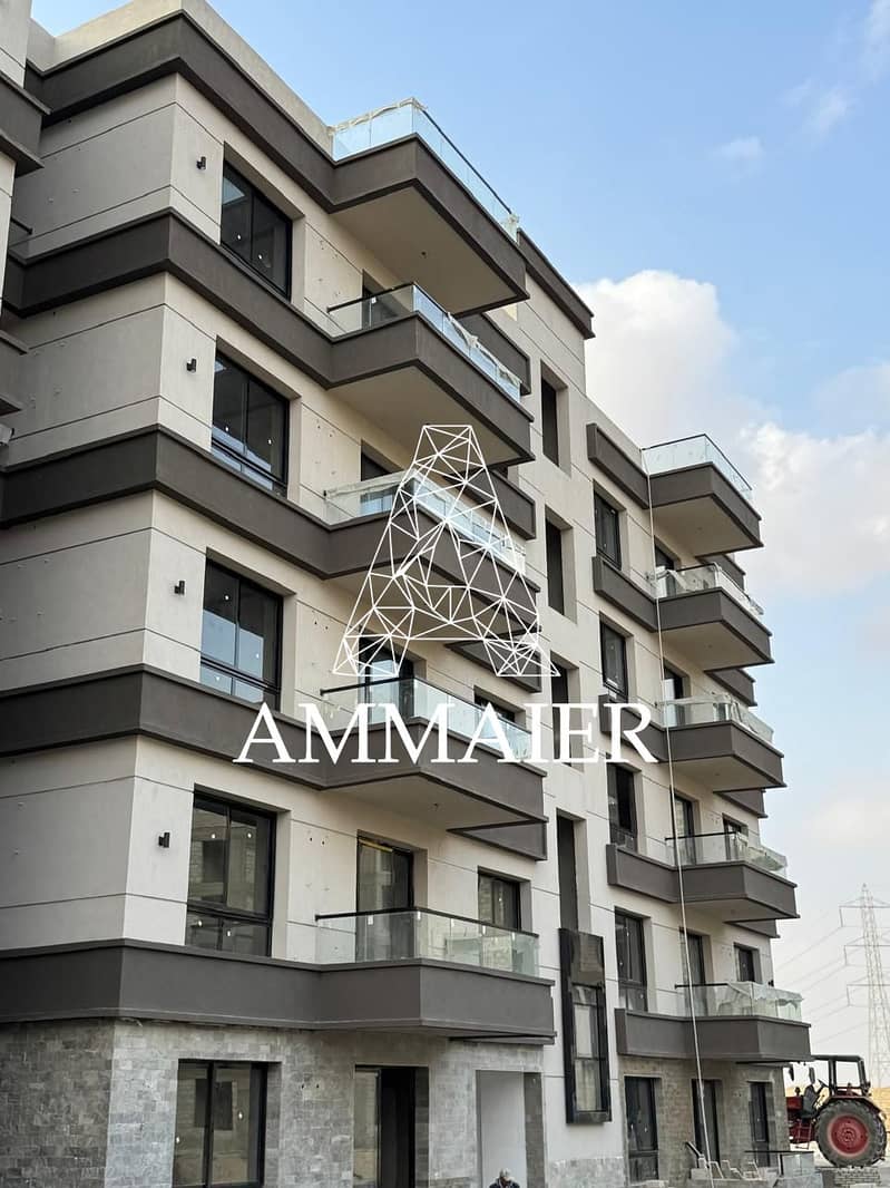 4 WhatsApp Image 2026-01-11 at 12.06. 12_d2cf47c2. jpg