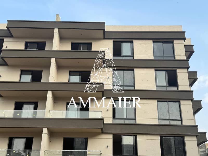 12 WhatsApp Image 2026-01-11 at 12.05. 56_fef244f1. jpg